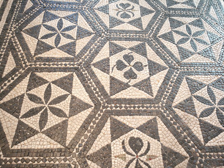 Emanuela Bincoletto ist Königin der autochthonen Weinrebe Raboso