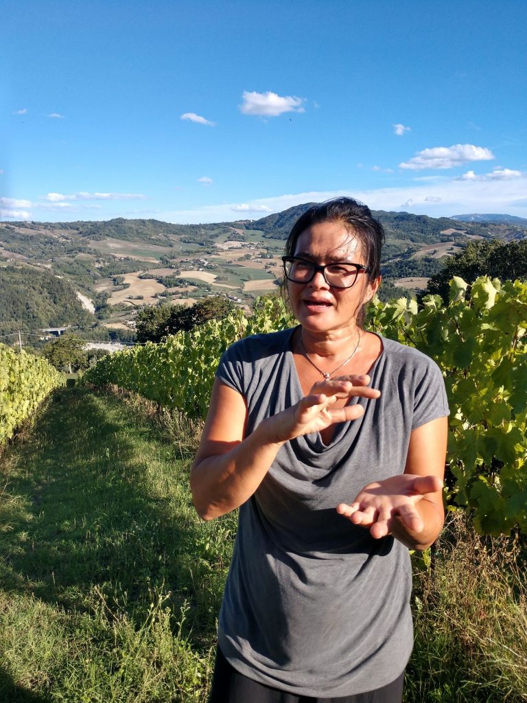 Neu entdeckt das SavioTal in der Romagna Sonoitalia