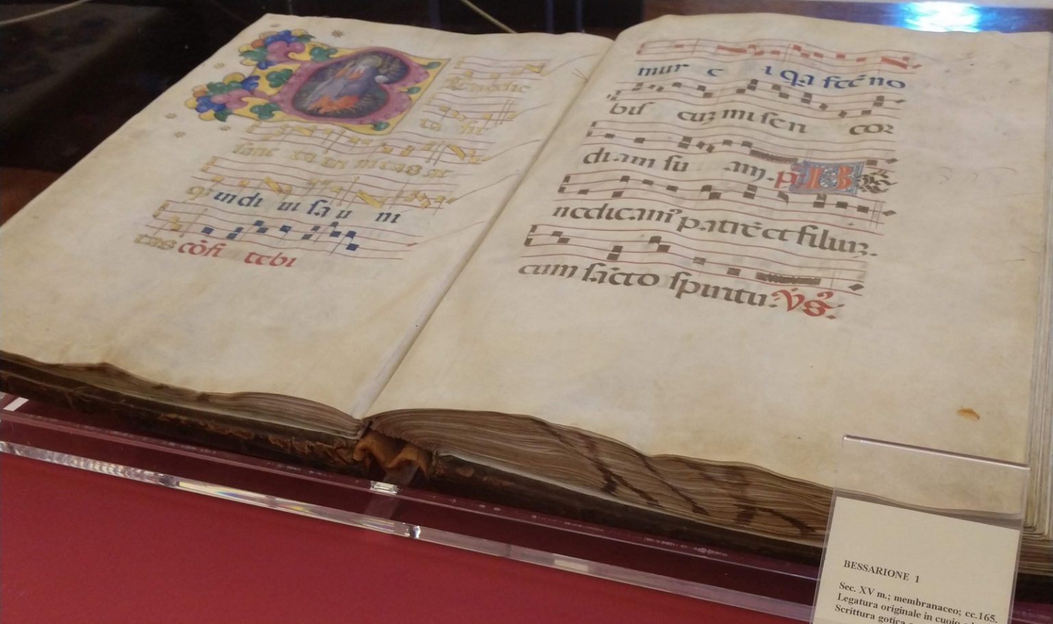 Bezauberndes Cesena Sonoitalia