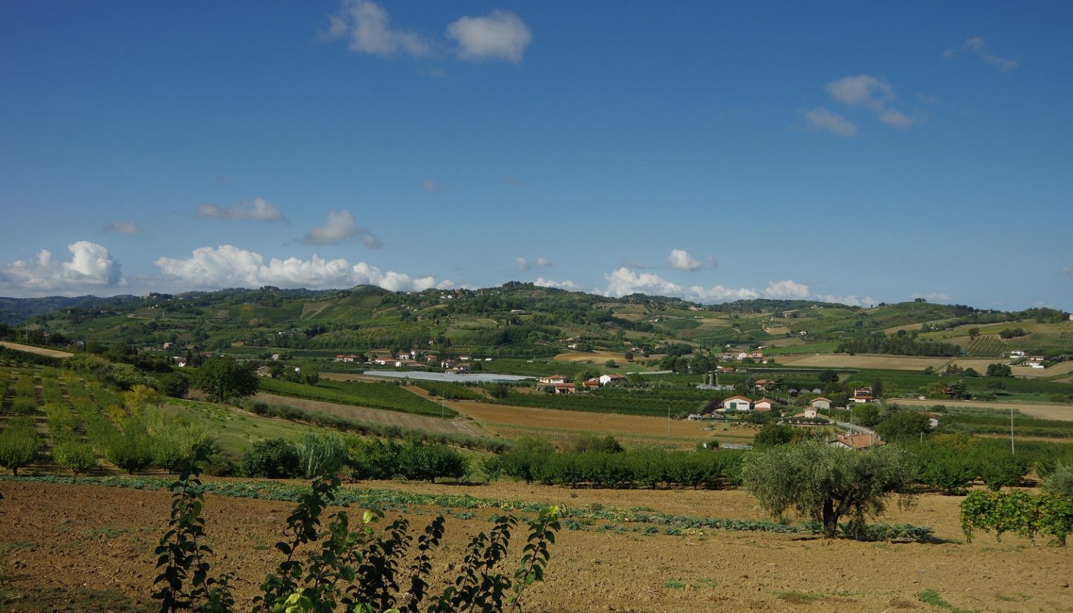 Bezauberndes Cesena Sonoitalia
