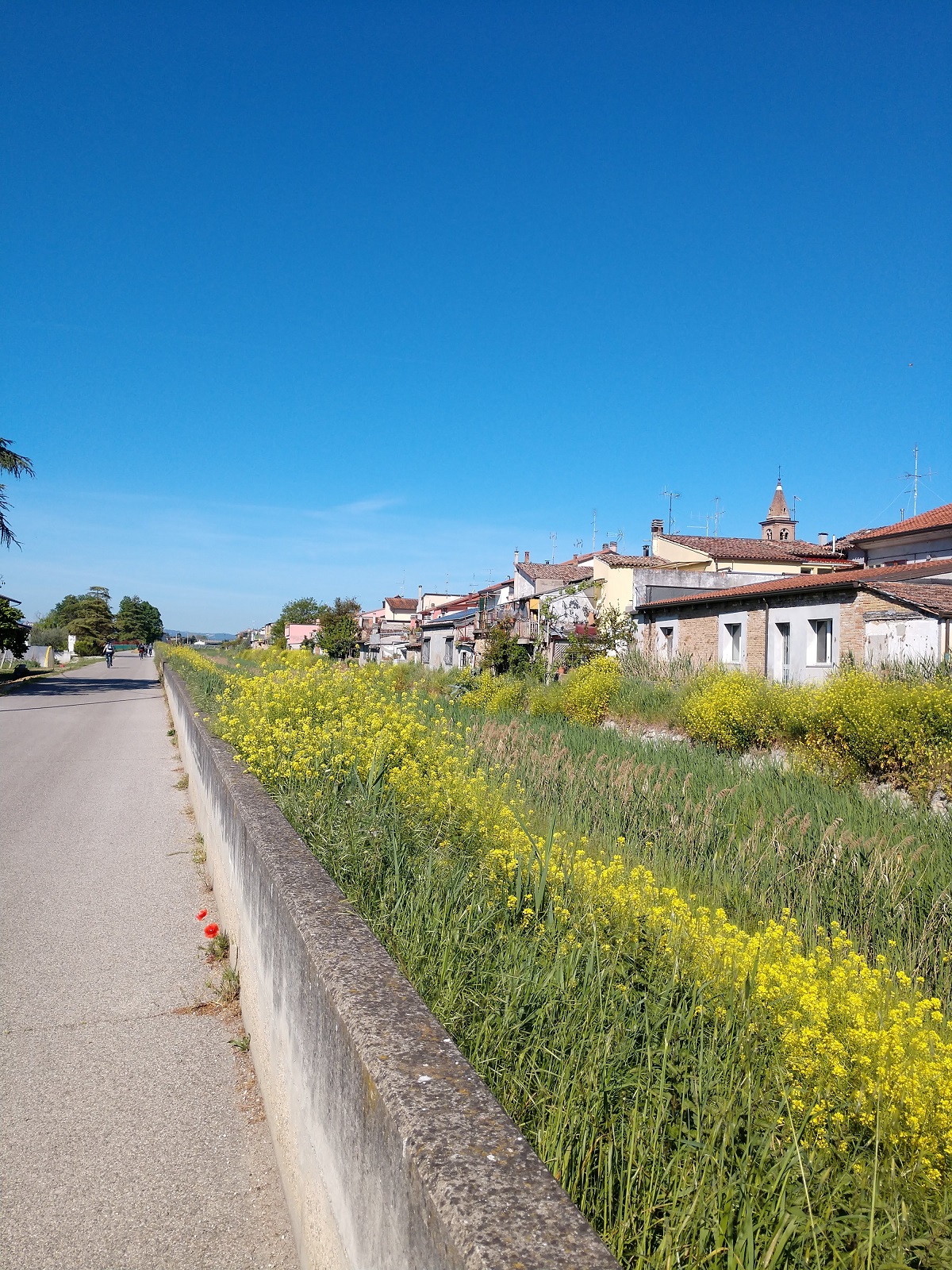 Radweg von Cesenatico nach Cesena Sonoitalia